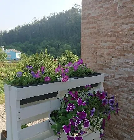 Navia A Pontenova