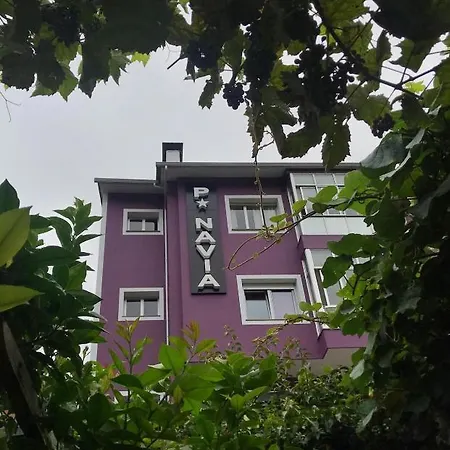 Navia *